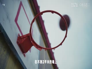 NBA常规赛 森林狼VS快船 20241205